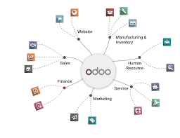 Navigating Odoo Support Services: What Businesses Need to Know
