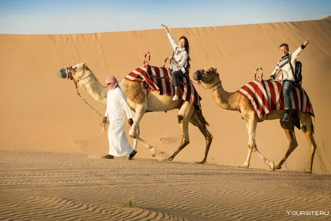 Unveiling the Desert Dawn: A Private Morning Safari Adventure in Dubai