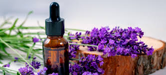 Lavender Oil for Muscular Pain: A Natural Remedy