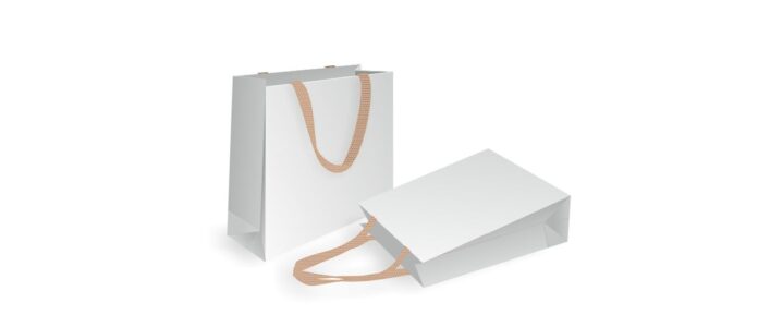 White Paper Bags with Handles: An In-Depth Exploration