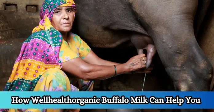 How Wellhealthorganic Buffalo Milk Can Help You